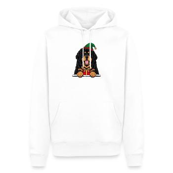 Weihnachtshund mit Geschenk - Männer Premium Bio Hoodie - Weiß - Vorne - Nico (187cm)