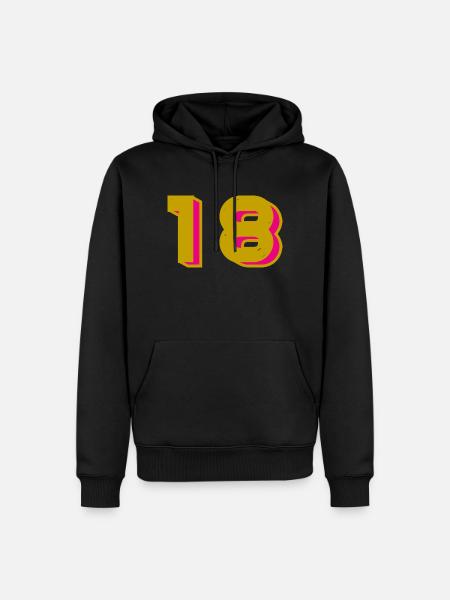 18 - Men’s Premium Organic Hoodie - black