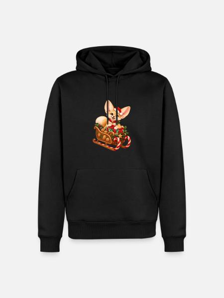 Fennek mit weihnachtlichem Nussschlitten - Männer Premium Bio Hoodie - Schwarz