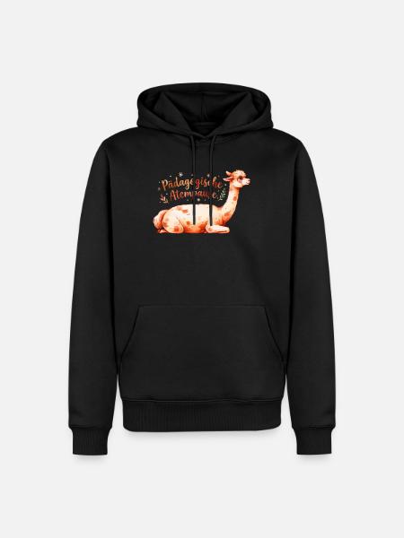 Lama Atempause Pädagogik - Männer Premium Bio Hoodie - Schwarz