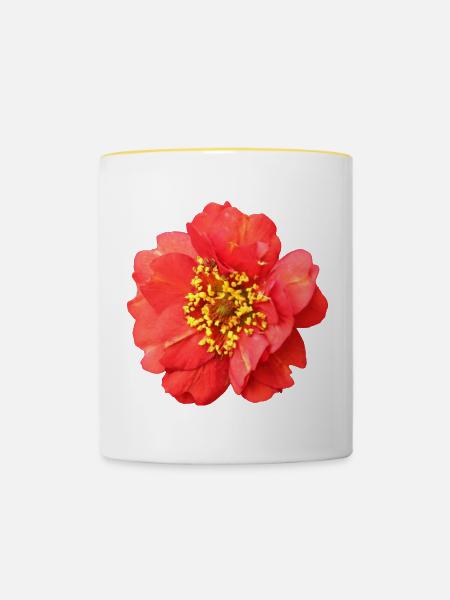 rote Blume Rose - Tasse zweifarbig - Weiß/Gelb