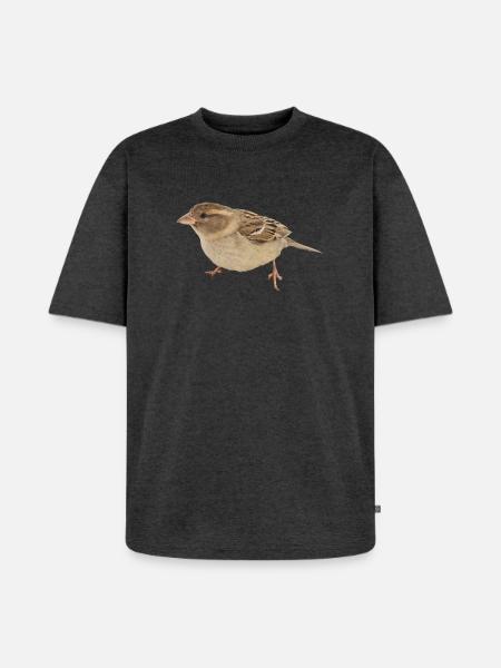 Vogel - Unisex Premium Oversized Bio T-Shirt - Anthrazit meliert