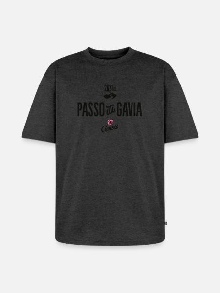 Gavia Pass - Unisex Premium Oversized Bio T-Shirt - Anthrazit meliert