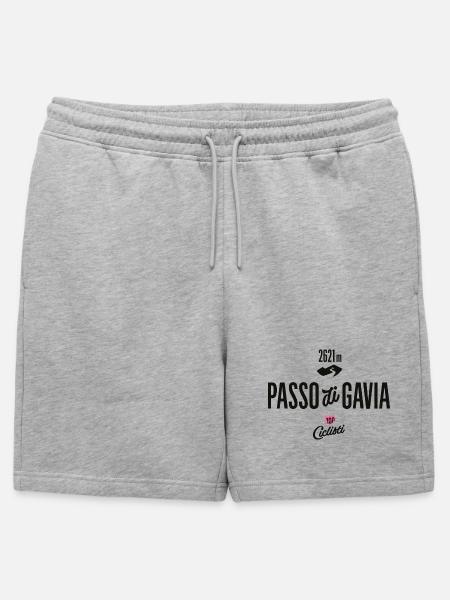 Gavia Pass - Männer Premium Organic Sweatshorts - Grau meliert