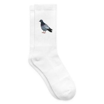 Stadttaube - Realistisch gemalte Taube - Tennissocken - Weiß - Rechts