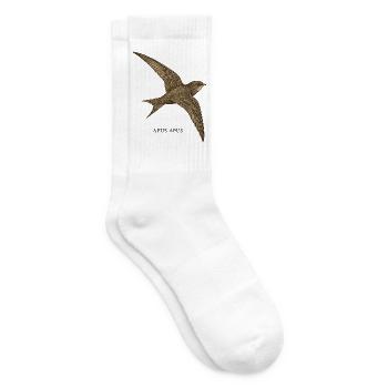 Mauersegler – Apus Apus - Tennissocken - Weiß - Rechts