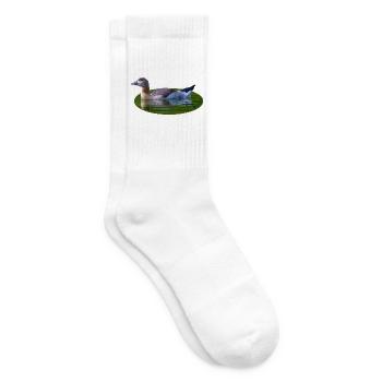 Nilgans Gans Küken - Tennissocken - Weiß - Rechts