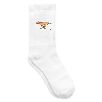 Ein junger Windhund, der geboren wurde, um zu laufen - Tennissocken - Weiß - Rechts