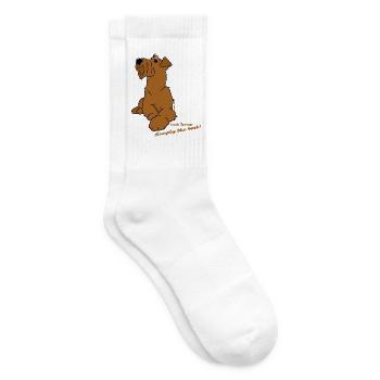 Irish Terrier liegend - Tennissocken - Weiß - Rechts