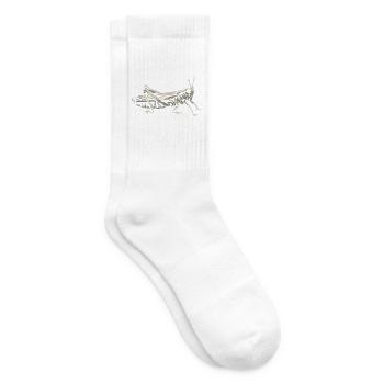 Sprunghafte Sumpfheuschrecke Torfmoor - Tennissocken - Weiß - Rechts