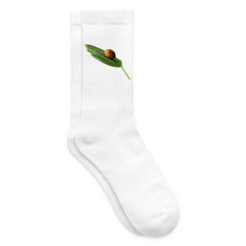 Glückskäferchen Marienkäfer ohne text - Tennissocken - Weiß - Rechts