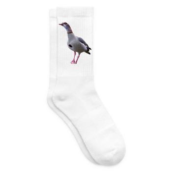 Gans Nilgans Gänse - Tennissocken - Weiß - Rechts
