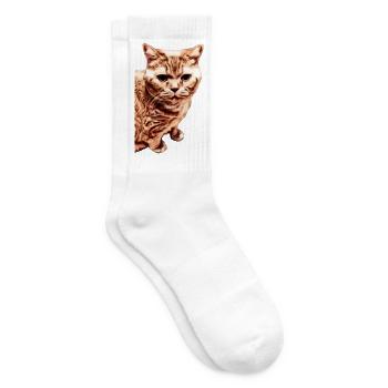 britisch Kurzhaar Katze - Tennissocken - Weiß - Rechts