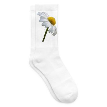 Margerite Gänseblume - Tennissocken - Weiß - Rechts