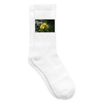 Schwertlilie Lilie gelbe Blume - Tennissocken - Weiß - Rechts