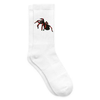 spinnen - Tennissocken - Weiß - Rechts