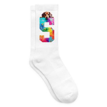 CHIEN 5 ANS DACHSHUND 5E ANNIVERSAIRE - Chaussettes de tennis - blanc - Droite