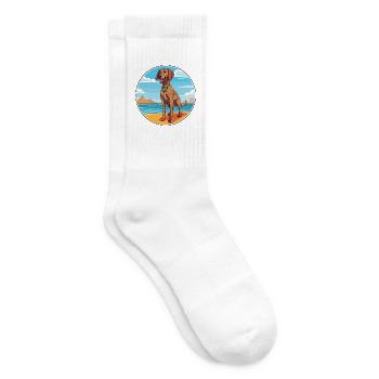 Plott Hund Rasse Cartoon Kawaii Clipart Hund - Tennissocken - Weiß - Rechts