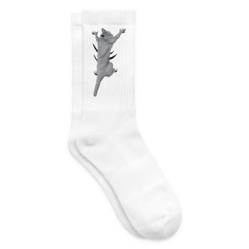 Kletternde Katze - Graue Katze hängt am Shirt - Tennissocken - Weiß - Rechts