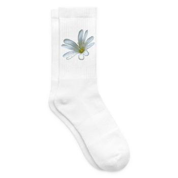 weiße Blume Sternmiere - Tennissocken - Weiß - Rechts