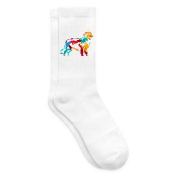 Verschmuster Berner Sennenhund Züchter - Tennissocken - Weiß - Rechts