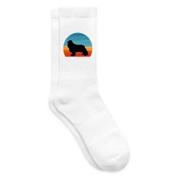 Cavalier King Charles Spaniel Hund Silhouette - Tennissocken - Weiß - Rechts