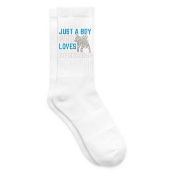 Just A Boy Who Loves Stegosaurus Dinosaurier Dino - Tennissocken - Weiß - Rechts