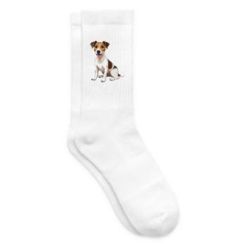 Russell Terrier Hund - Tennissocken - Weiß - Rechts