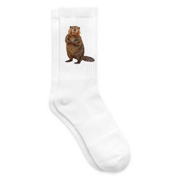 Biber - Tennissocken - Weiß - Rechts