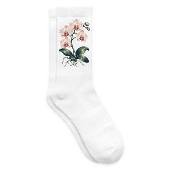 Orchideenliebe – botanische Blüten - Tennissocken - Weiß - Rechts