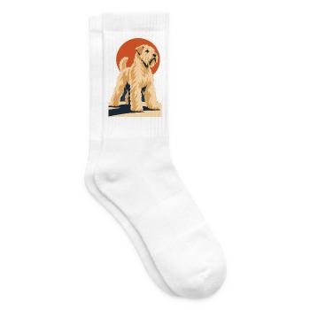 Weichfell-Wheaten Terrier - Tennissocken - Weiß - Rechts