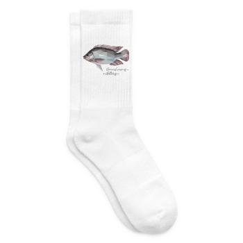  Oreochromis niloticus  - Tennissocken - Weiß - Rechts
