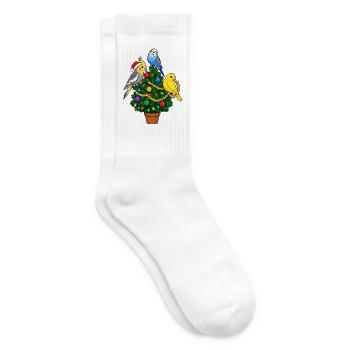 Nymphensittich, Wellensittich, Kanarienvogel, - Tennissocken - Weiß - Rechts
