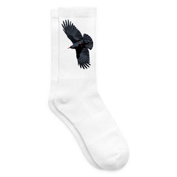 Rotschnabel-Chough-Flug - Tennissocken - Weiß - Rechts