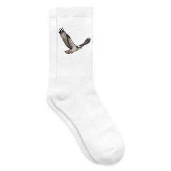 Fischadler im Flug – Greifvogel mit weißem Kopf - Tennissocken - Weiß - Rechts