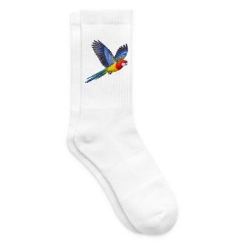 Prachtrosella im Flug – Sittich in bunten Farben - Tennissocken - Weiß - Rechts