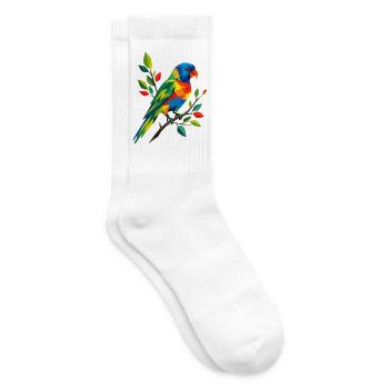 Bunter Regenbogenlori auf einem Zweig   - Tennissocken - Weiß - Rechts