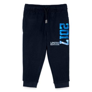 9. GEBURTSTAG LIMITED EDITION 2017 - Kinder Organic Jogginghose Mini Mover von Stanley/Stella - Navy - Vorne