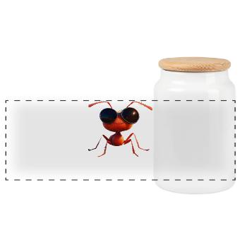 fourmi fourmi de forêt fourmi de feu insecte fourmis mignonnes - Boîte à biscuits avec couvercle en bois - blanc - Devant