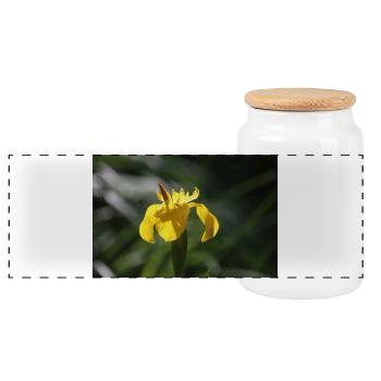 Schwertlilie Lilie gelbe Blume - Panorama Keksdose mit Holzdeckel - Weiß - Vorne
