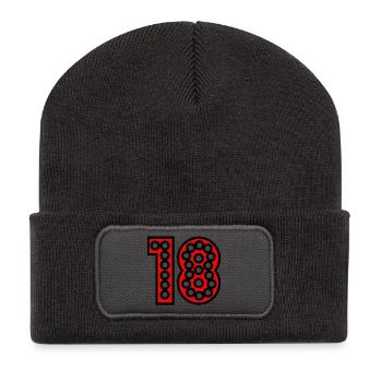18. 18 YEARS OLD. 18th ANNIVERSARY. 18 BIRTHDAY. - Recycled Patch Beanie - dark grey - Front