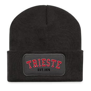Triest gegründet 1976 – Geburtstag - Recycelte Patch Beanie - Dunkelgrau - Vorne