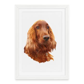Irish Setter Red - Affiche encadrée (27 × 37 cm) - blanc - Devant