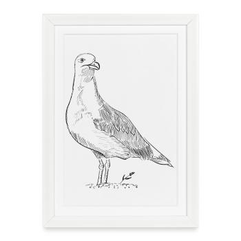 Colombe Vintage – Croquis d’oiseau dessiné à la main - Affiche encadrée (27 × 37 cm) - blanc - Devant