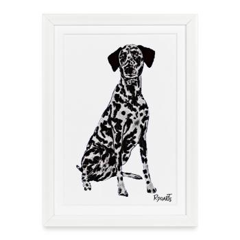 Beau chien dalmate - Affiche encadrée (27 × 37 cm) - blanc - Devant