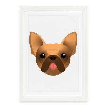 Bouledogue Français - Frenchie - Bully - Langue - Affiche encadrée (27 × 37 cm) - blanc - Devant