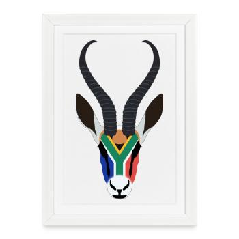 SPRINGBOK HEAD IN SOUTH AFRICAN COLOURS - Framed poster (27 × 37 cm) - white - Front