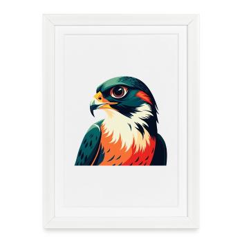 Personnage de dessin animé de faucon animal de compagnie coloré - Affiche encadrée (27 × 37 cm) - blanc - Devant