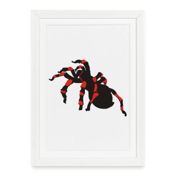 spinnen - Gerahmtes Poster (27 × 37 cm) - Weiß - Vorne