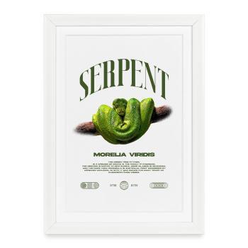 Green Tree Python Modern Reptile Keeper Streetwear - Gerahmtes Poster (27 × 37 cm) - Weiß - Vorne